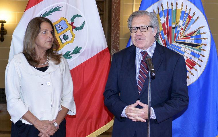Peru's delegate Ana Rosa Valdivieso, appreciated the support from OAS for the organization of the Summit and the relevance of the topic chosen by her country. 