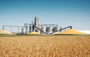 The agency estimates that the 2016 U.S. harvest reached an all-time high and that the crop gathered this fall will be the second-bigger ever. 