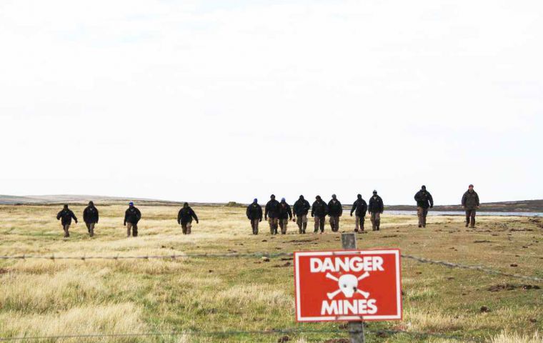 Special teams of deminers working in Falklands' fields clearing them of ordnance   