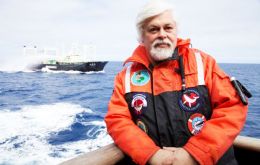 Sea Shepherd founder Captain Paul Watson accused nations including Australia, New Zealand and the US of being “in league” with Japan.