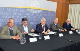 The panel which made the announcement long expected by Uruguayan officials and farmers
