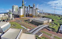 The new plant will allow the company to diversify its offering of forest products, the firm said in a statement. Arauco had been considering the plant for some time
