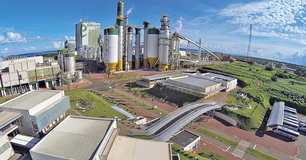Chilean company will build new cellulose plant in the south of the ...
