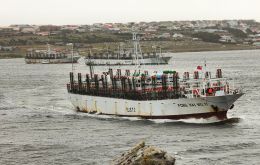 The report highlights the Falklands economy grew 26% between 2009/12, but wide fluctuations in GDP annually still exist due to the reliance on the fishing sector (pIC N. Bonner)