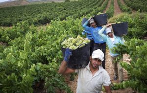 The situation is bleakest in the three countries that produce the most wine – Italy (down by 23%), France (down by 19%) and Spain (down by 15%).