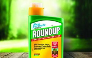 Glyphosate was introduced by Monsanto in 1974, but its patent expired in 2000, and now the chemical is sold by various manufacturers. 