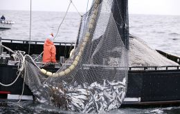 Around 60% of the world’s assessed fish stocks are fully exploited and 30% are already overexploited, according to the 2016 SOFIA report, published by FAO