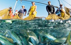 Proper management of fisheries can go some way to curb the impact of fleet expansion on dwindling resources, but measures are rarely enforced effectively