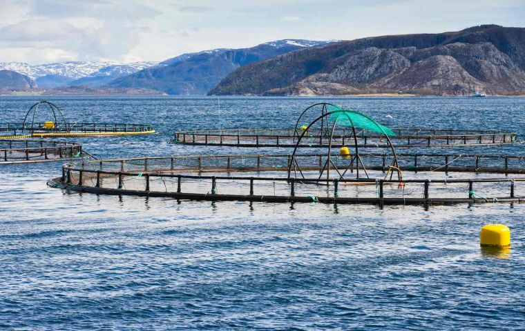 Rural Economy Secretary, Fergus Ewing, said that the study shows the Scottish seafood processing sector dependency on EEA workers