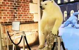“Thank you Australia for your concern. We can assure you that in mainland Norway all polar bears are stuffed and pose only limited risk” Norway reported