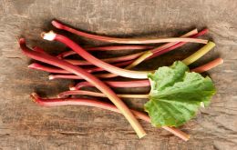 Punta Arenas residents celebrate with different produce made out of rhubarb 