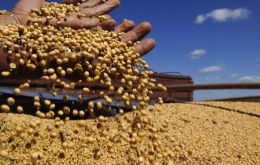 After a slow start, the rainy season has been beneficial for the soybeans since early November and as a result, Conabs soybean estimate could move higher. Pic: Cadu Gomes/CB/D.A Press