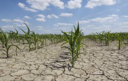 Lack of water has cut January projection by 5.5m tons in soybeans, which stands at 46.5m tons, and 4.9m tons of corn, which stands at 35 million tons