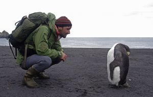 “There are only a handful of islands in the Southern Ocean, and not all of them are suitable to sustain large breeding colonies,” said lead author Robin Cristofari 