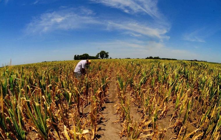 The drought has resulted in an expected decline in harvest value of US$3.1 billion, or 0.5% of GDP when compared to last year