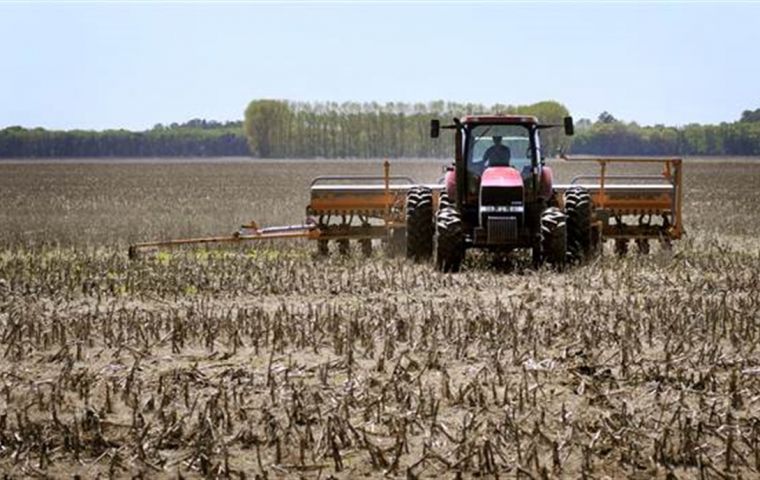 An unrelenting austral summer sun has shriveled crops, dented Latin America's No. 3 economy and put upward pressure on world food prices. 