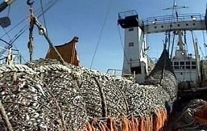 Argentina is concerned with the proliferation of fishing vessels outside of its EEZ, in international waters 