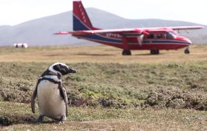 The Islanders hop to almost 30 different airfields located in the East and West mainland islands.