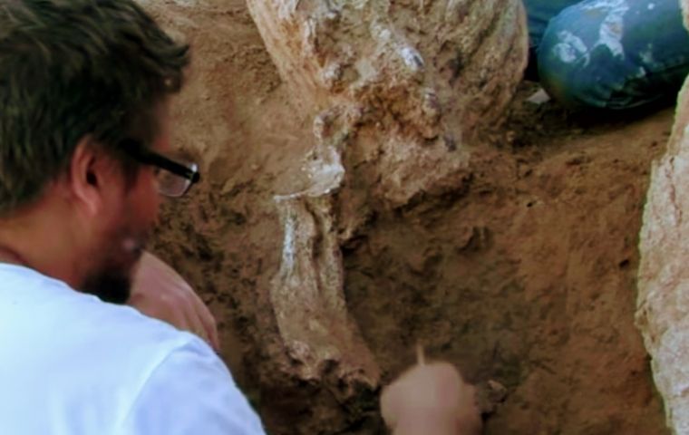 Archaeologists from the Lorenzo Scaglia Municipal Museum of Natural Science in Mar del Plata at work.