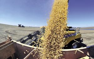 With Brazil the largest exporter of soybeans, coffee and sugar, farmers may benefit from a potential escalation of trade tensions between China and the United States