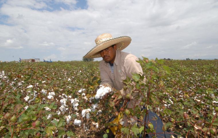 The government’s farm program offers subsidized loans to finance agricultural commodities and make investments such as in silos and agricultural machinery. 