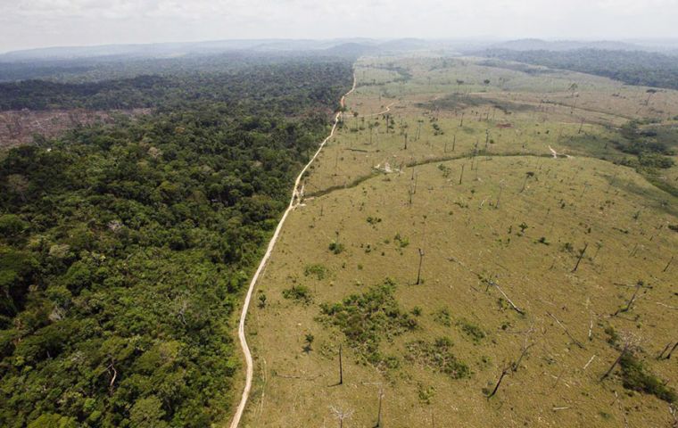 In the ruling judges said that Colombia, with a swathe of rainforest roughly the size of Germany and England, saw deforestation rates in its Amazon region skyrocket
