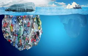 EDN will educate millions about the health and other risks associated with the use and disposal of plastics, including pollution of our oceans, water, and wildlife
