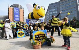 Campaigners dressed in black and yellow bee suits rallied outside the headquarters of the EC in Brussels ahead of the vote for a ban on three key pesticide chemicals.(Pic AFP)
