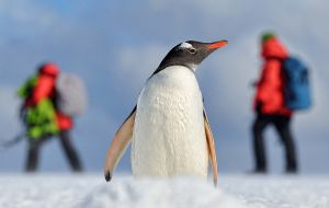 The new and revised Antarctic Treaty System guidelines focus on continuing best practice for safe and responsible travel