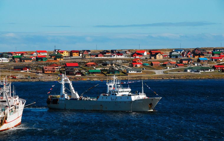  The Loligo squid season, which closed on the 5th May, was very successful with the highest catch since 1995 of 43,000 tonnes recorded (Pic Beauchene Fishing Co.Ltd.) 