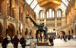 Students from Chichester College and Peter Symonds College went to the Natural History Museum 