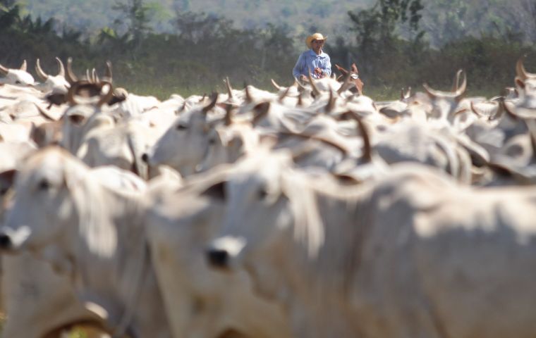Brazil’s access to many top-tier markets had remained limited by concerns over the introduction of the contagious FMD disease in cloven-hoofed ruminants.