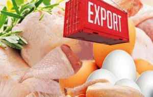 Chicken and pork losses are estimated in US$ 798 million. Brazil is the world's biggest chicken exporter. It shipped 4.3 million tons of chicken meat in 2017