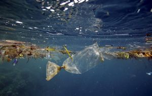 A recent report warned the amount of plastic in the ocean could triple in a decade unless litter was curbed.