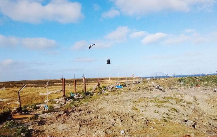 The current landfill site in the Islands has unrestricted access to humans and wildlife