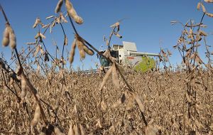 Argentina's Pampas grains belt was beset by extremely hot, dry weather from November until torrential rains paralyzed early harvesting in April.