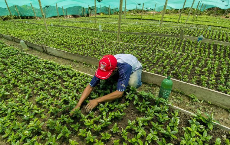 More than half of growth, 53%, can be attributed to an increase in crop production, about 39% to the livestock sector, and 8% from fisheries output