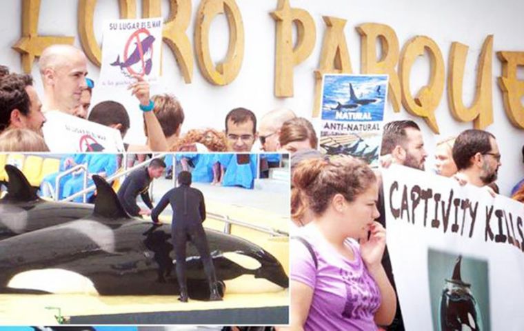 SeaWorld and Loro Parque both passed minimum animal welfare guidelines set by the Association of British Travel Agents (ABTA)