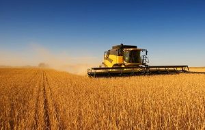 Germany Farmers’ Association is asking the government for one billion euro (£890 million) in financial aid to help cover losses from this year’s poor harvest
