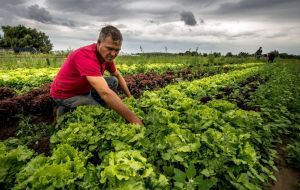 Indec detailed that the agriculture sector fell 31% in June from the same month last year, as crops were hammered by one of the worst droughts in decades