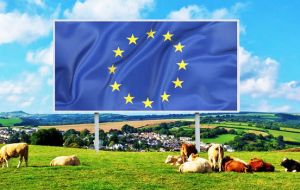 EU farmers have expressed fears over an influx of Mercosur beef, and the block's members are similarly nervous about opening up their markets to EU carmakers