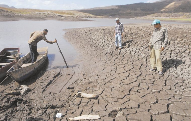 The 2015-16 El Niño was one of the strongest ever recorded, and had an impact on global temperatures, which saw 2016 enter the record books as the warmest year