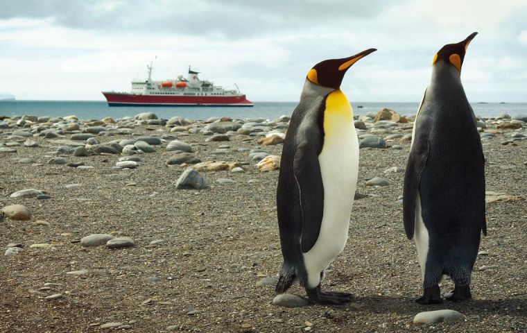 Lifetime experiences in the Falkland Islands!