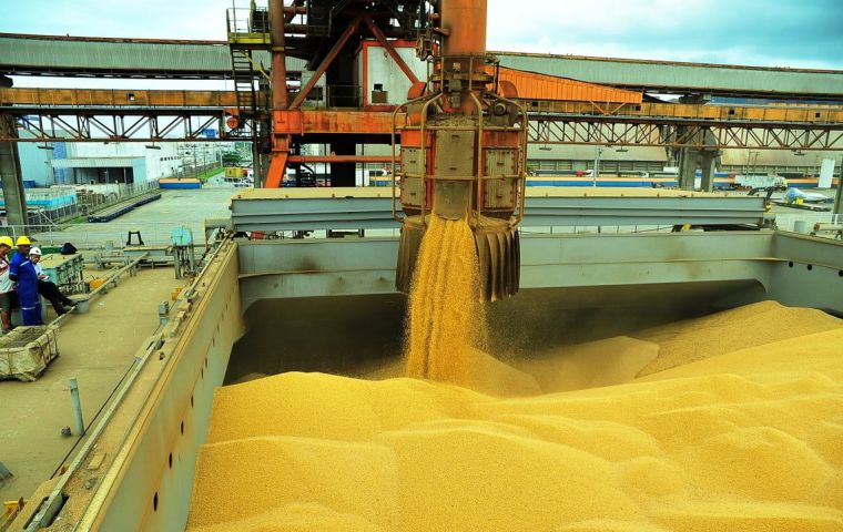Imports from Brazil dropped to a 40% share of the bloc's roughly 35 million ton annual import market for the animal feed staple.