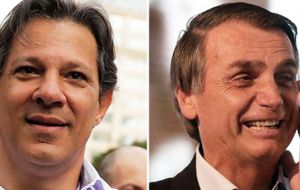 In the likely scenario of a runoff vote, required by law if no candidate wins a majority in the first ballot, Haddad has 43% compared to Bolsonaro’s 37%