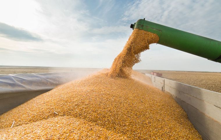 The Rosario Grains Exchange on Wednesday slashed its forecast for the season to 19 million tons, also citing poor weather in Argentina.