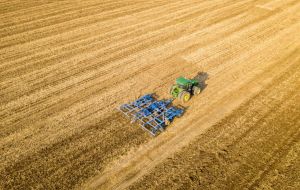 Global rice production is anticipated to rise 1.3%, surpassing last year's all-time high, spurred by evidence of greater Asian plantings than previously expected