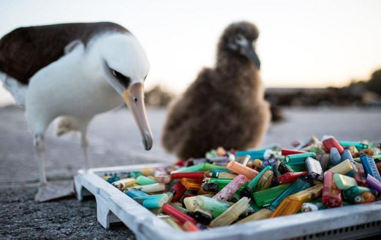 The amount of plastic reaching the South Atlantic remote regions has increased at all levels, from the shore to the seafloor