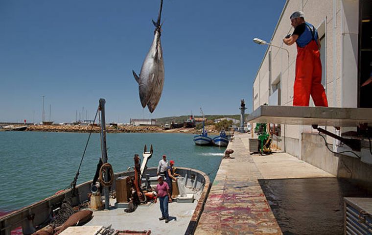 Bluefin tuna shipments were being smuggled into Spain through the French harbors after being caught in Italian and Maltese waters.