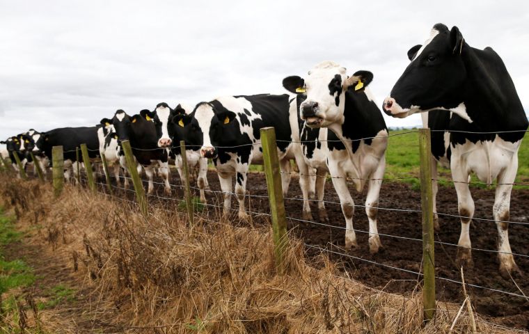 BSE devastated the British farming industry in the 1990s with more than four million cattle slaughtered to stop the spread of the disease